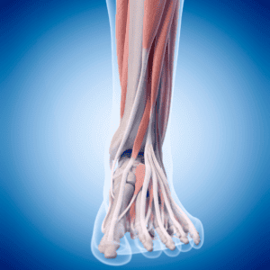 Joffrey Leboucher Ostéo Méthode Dorn Cabinet Efficience