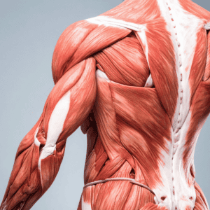 Joffrey Leboucher Ostéo fascia Méthode Dorn Cabinet Efficience