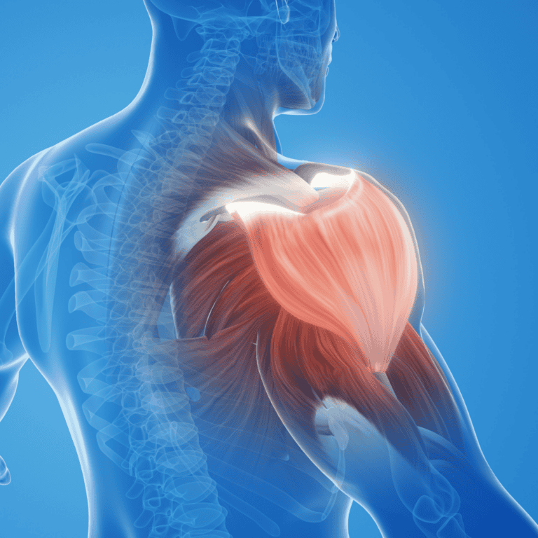 Joffrey Leboucher Ostéo Méthode Dorn Cabinet Efficience