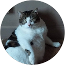 Corinne B. profile picture